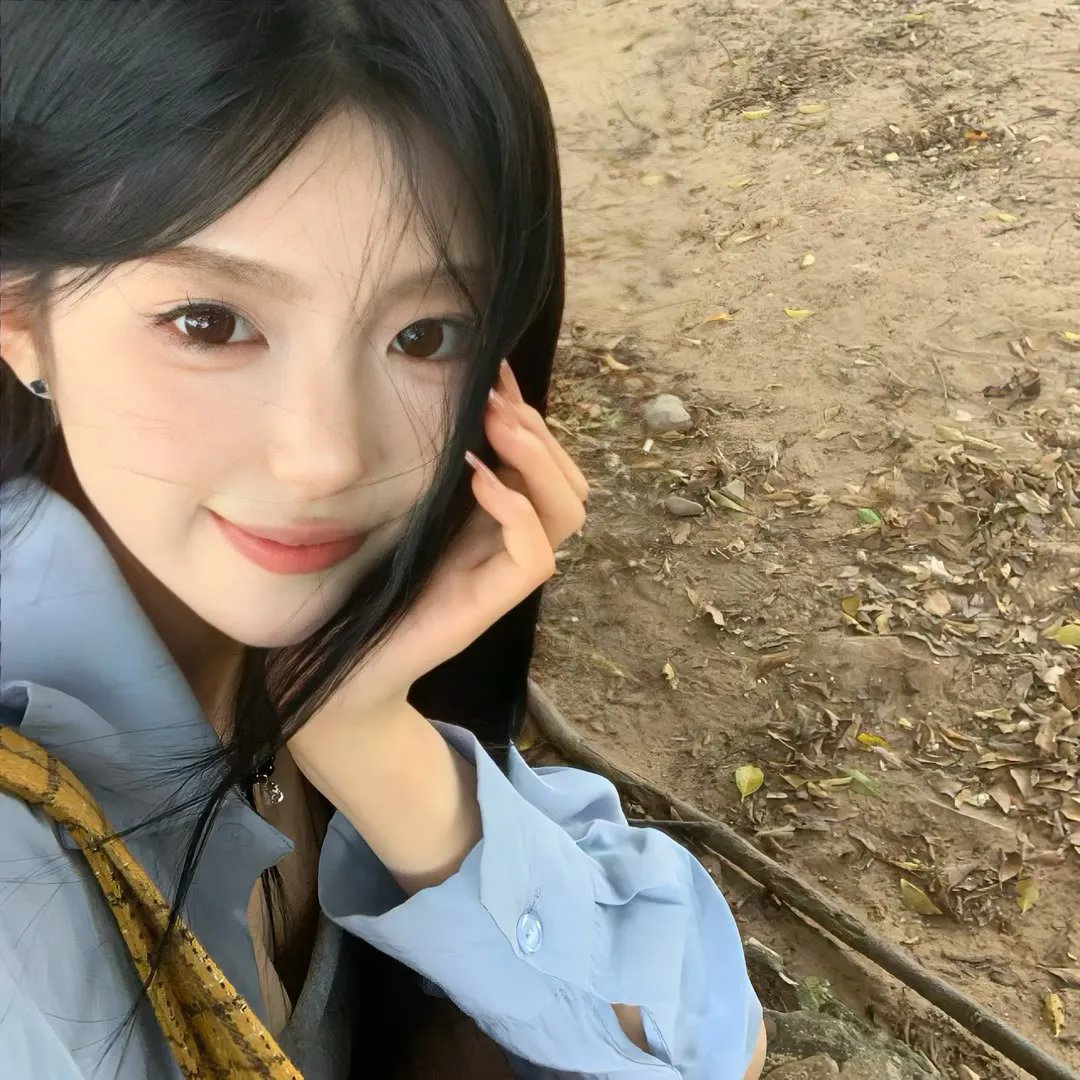 女王鲨